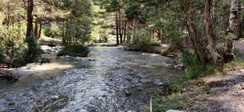 Apartamento Appartements Au Bord de La Rivi�re
