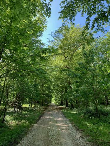 Bed & Breakfast Ch�teau De Montabert
