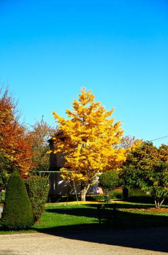 Bed & Breakfast Ch�teau De Montabert
