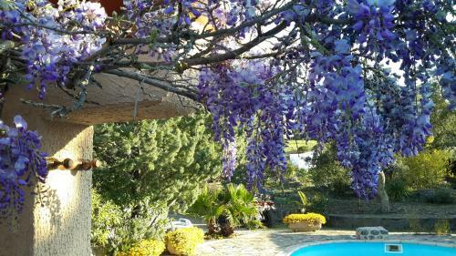 Bed & Breakfast La Pantoufle Verte