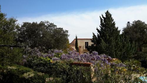 Bed & Breakfast La Pantoufle Verte