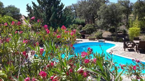 Bed & Breakfast La Pantoufle Verte
