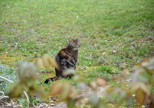 Bed & Breakfast Domaine de La C�te Aux Chats