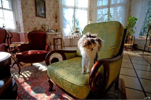 Bed & Breakfast Domaine de La C�te Aux Chats