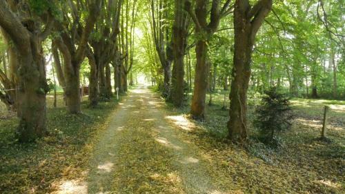 Bed & Breakfast Domaine de La C�te Aux Chats