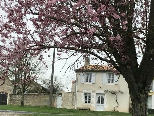 La Maison De Josephine
