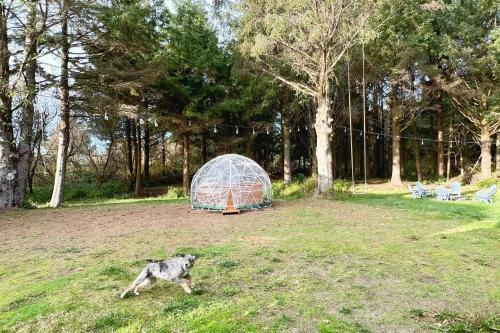 1-acre Home With Hot Tub 1 Mile To Beach Access!