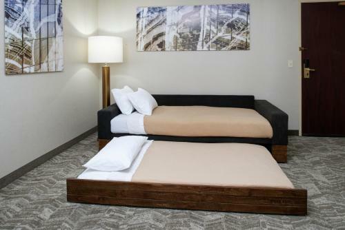 Hotel Springhill Suites Frankenmuth