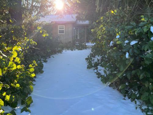 Hotel Lopez Farm Cottages & Tent Camping