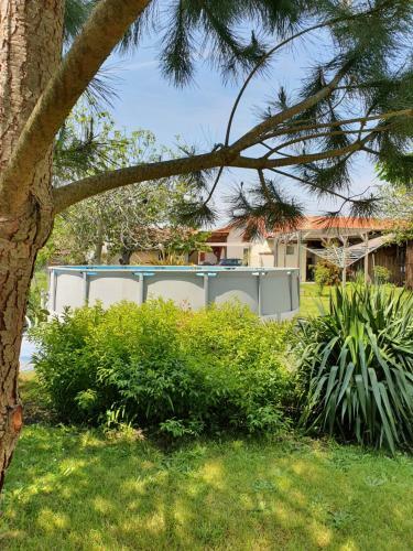 Bed & Breakfast A2pasdelaforet