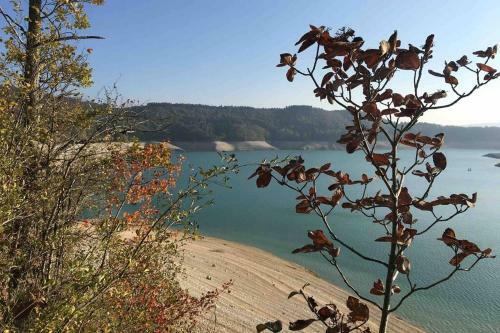 Apartamento Appartement Rez de Chauss� Maison