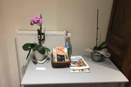 Apartamento Appartement Rez de Chauss� Maison