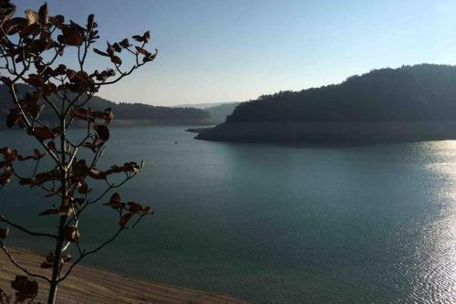 Apartamento Appartement Rez de Chauss� Maison