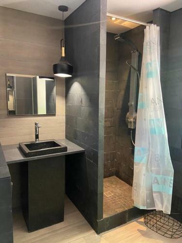 Villa 4 Chambres Studio Piscine