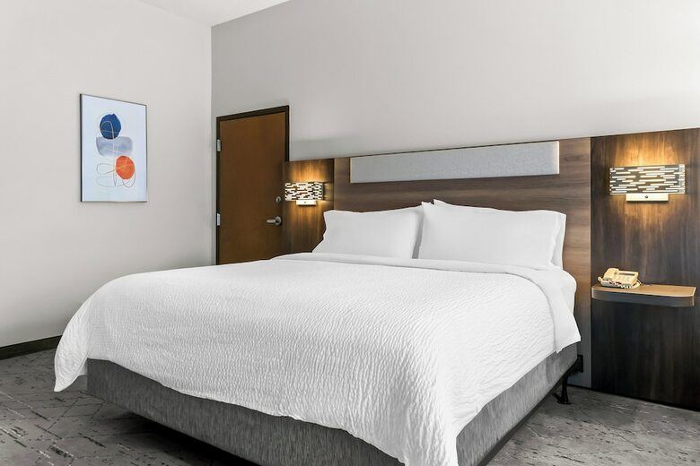 Holiday Inn Express Hotel & Suites - Novi