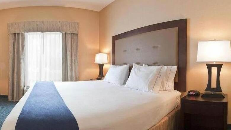 Holiday Inn Express Hotel & Suites - Novi