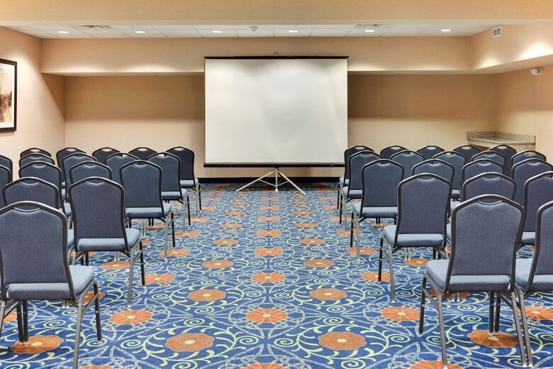 Holiday Inn Express Hotel & Suites - Novi