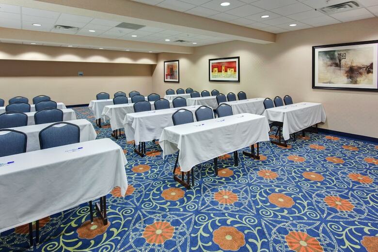 Holiday Inn Express Hotel & Suites - Novi