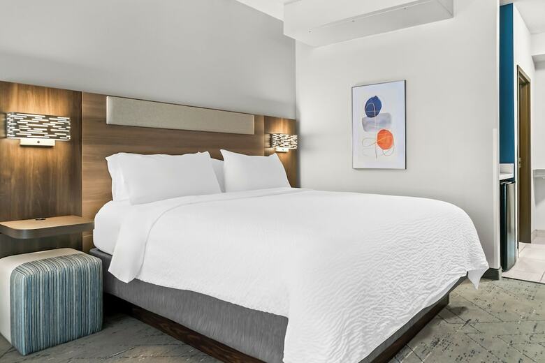 Holiday Inn Express Hotel & Suites - Novi