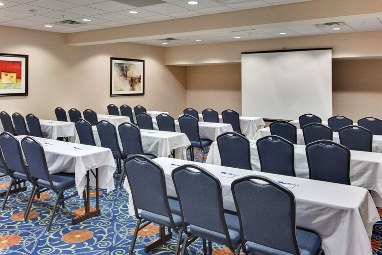 Holiday Inn Express Hotel & Suites - Novi