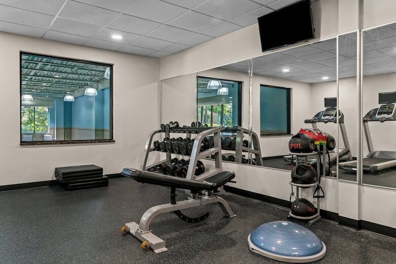 Holiday Inn Express Hotel & Suites - Novi