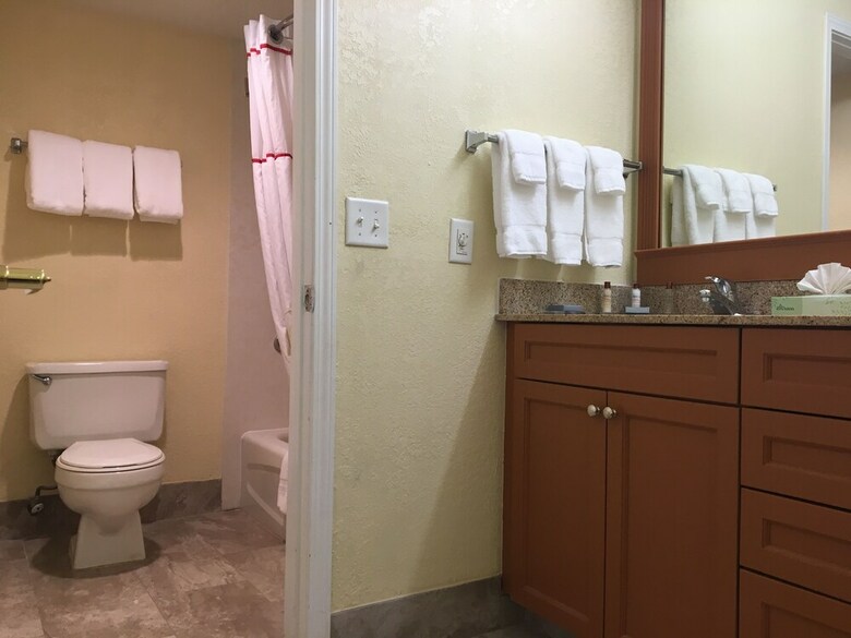 Hotel Hawthorn Suites By Wyndham Grand Rapids