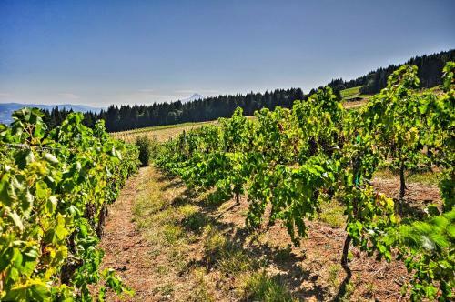 Luxury Home With Views - 5 Min To Columbia River