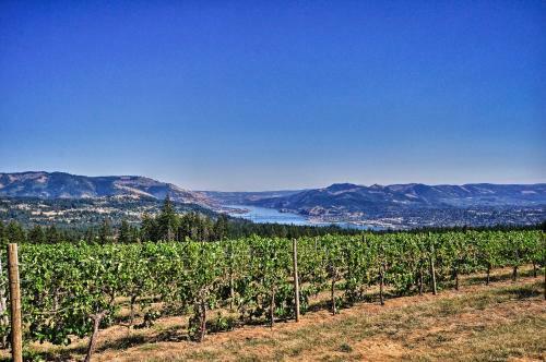 Luxury Home With Views - 5 Min To Columbia River