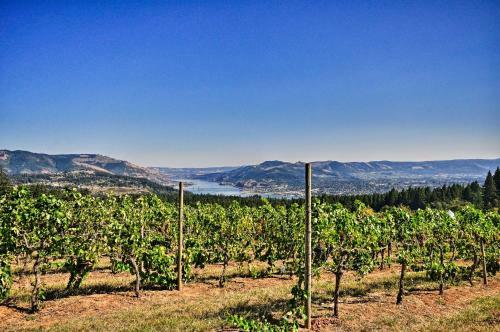 Luxury Home With Views - 5 Min To Columbia River