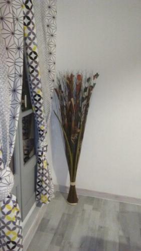 Apartamento Laur