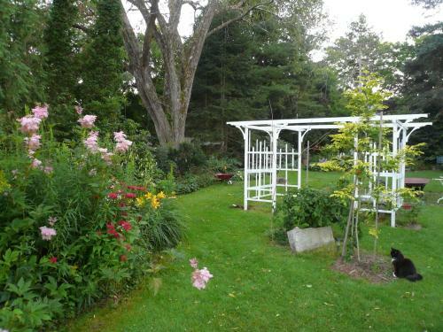 Le Vatout Bed & Breakfast