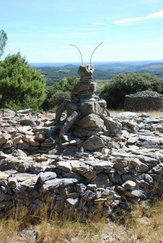 Neffies Languedoc Frankrig