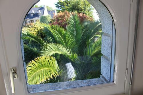 Apartamento Maison Mimosa