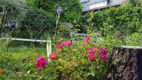 Bed & Breakfast Les Iris Chambres D?h�te