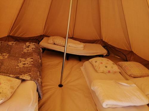 Le Tipi Familial