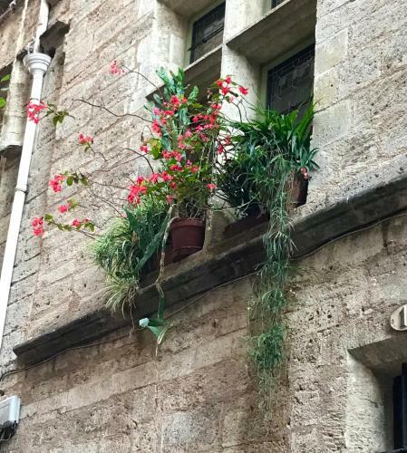 Pretty Village House, Nizas Pezenas