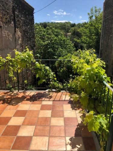 Pretty Village House, Nizas Pezenas