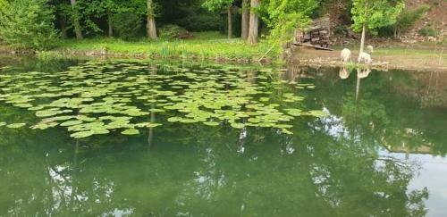 Le Moulin D'�ne Niort