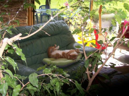 Bed & Breakfast Les Rhodos