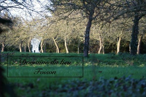 Normandia Du Lieu Foison