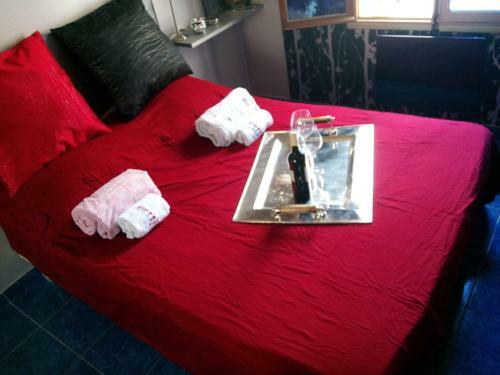 Patrick&pierre Bed And Breakfast N�mes
