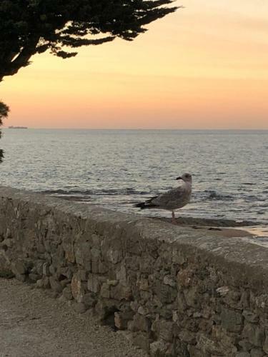 Maison Bord de Mer Au Vieil 3 �toiles