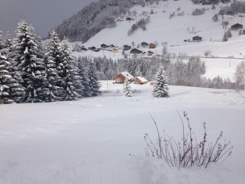 Aparthotel La Ferme Des Georgi�res