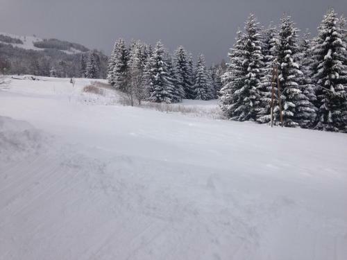 Aparthotel La Ferme Des Georgi�res