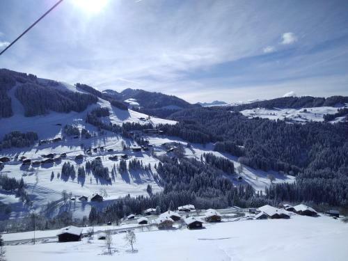 Apartamento Demi Chalet Le Lachat