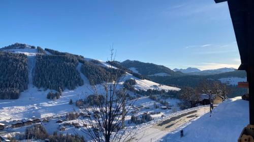 Apartamento Demi Chalet Le Lachat