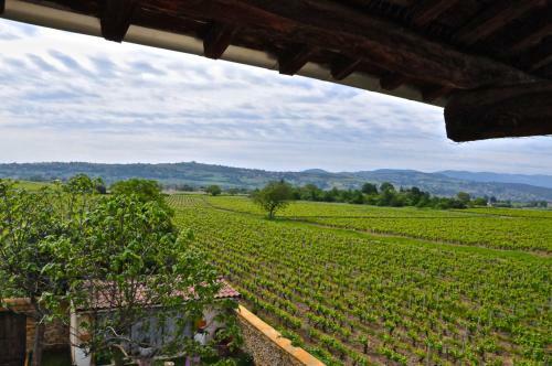 Bed & Breakfast Le Clos Du Cher En Beaujolais