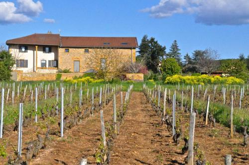 Bed & Breakfast Le Clos Du Cher En Beaujolais