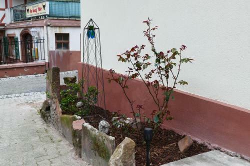 Apartamento Le G�te Des Sources: Nature, Randonn�es, D�tente.