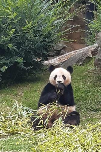 Gite Des Mardelle Pr�s Du Zoo de Beauval
